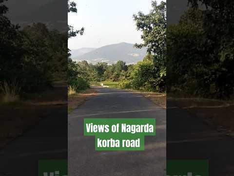 Natural beauty of nagarda gudwa//Views of Nagarda korba road