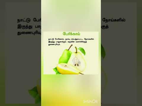 பேரிக்காய் 🍐 #tamil #healthtips #higienenatural #food #naturevitamin #shorts #youtube #shortsviral