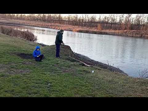 Пришли на рыбалку в Январе! ❄️🐟 Увидели огромного - Толстолобика! 👍