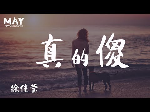 真的傻 徐佳莹 ( 高音质 无杂音 电影 一吻定情 主题曲 ) 【 我是真的想 】 动态歌词lyrics