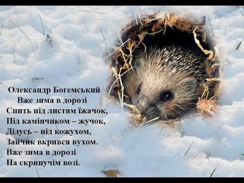 Олександр Богемський.  Вже зима в дорозі. Вчимо вірш он-лайн з дітьми 3-4-х років.