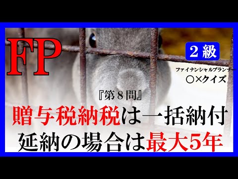 【FP２級】相続事業継承53　うさナンシャルプランナー〇×クイズ。マルバツ。わかりやすい。高卒式だから安心。聴き流しでも勉強！#過去問#解説#猫#犬#1分で知識アップ#うさぎ#NISA#fp2#fp3