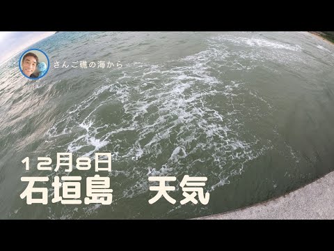 【石垣島天気】12月8日9時ごろ。15秒でわかる今日の石垣島の様子。