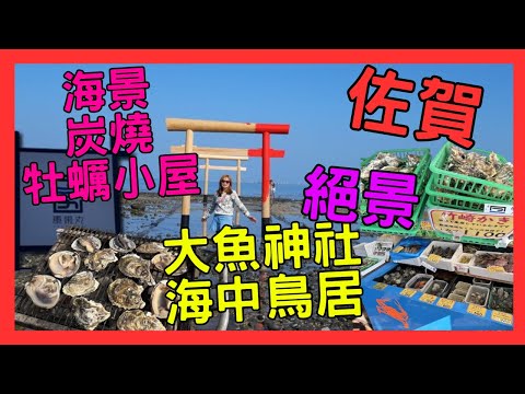 [九州 佐賀 太良町 絕景 美食推介]  大魚神社 海中鳥居| 潮漲 潮退 2個靚景| 有明海 出名海鮮| 海邊靚景 牡蠣小屋| 炭火燒 蠔 海鮮| 2月頭 部分 櫻花 已開| 九州自駕遊|