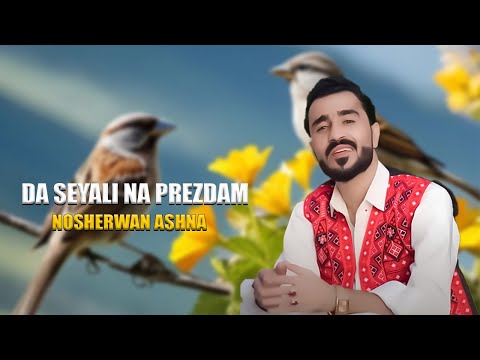 Da Seyali Na Prezdam | Nosherwan Ashna | New Pashto Songs 2024 |