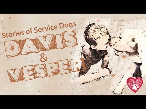 Stories of Service Dogs: Davis & Vesper