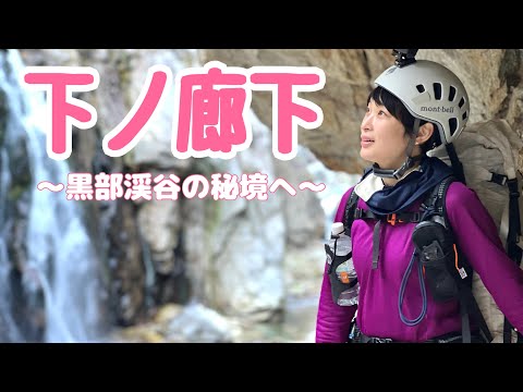 【紅葉の下ノ廊下】憧れの黒部の秘境へ｜黒部ダムから阿曽原温泉40km 1泊2日テント泊ピストン