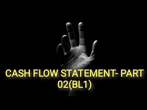 CASH FLOW STATEMENT- PART 02(BL1)