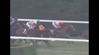 カワカミプリンセス 2009年 第102回京都記念(GII) (優勝馬：アサクサキングス) (実況：ラジオNIKKEI)