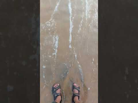 #viralvideo #shortsvideo #malayalam #shortsviral #viral