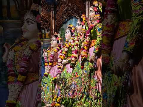 ♥️ Today's darshan of narasimha Deb Radha Madhav panchatatwa divine ♥️ 23/12/2024 #mayapuriskcon