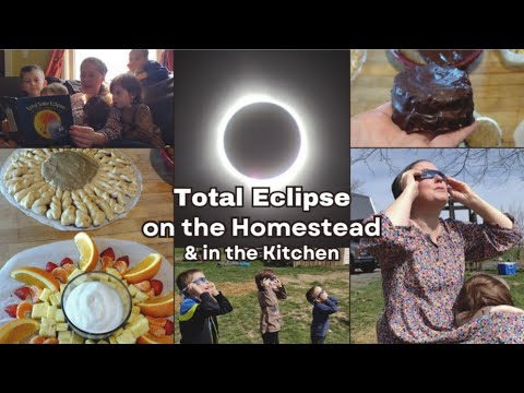 Recipes for Homemade Moon Pies, Sunbread, and More on Total Eclipse Day 2024