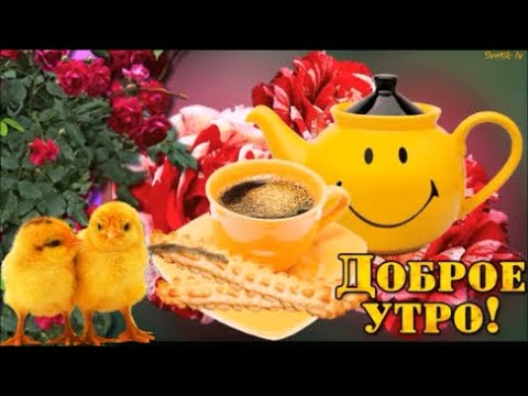 Доброе Утро! Хорошего Дня! Красивая Открытка  с  Пожелания Хорошего Дня!