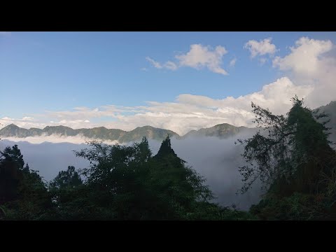 鳳凰山北嶺→第一、二土地公→第三涼亭美景→台寅山下的遠山眺望→溪頭天文台旁登1.9K南嶺→金柑樹山方向三叉路口→嶺頭山附近的大涼亭接山路縱走→留龍頭方向轉忘憂森林旁下山→溪杉公路美麗雲海 11月22日