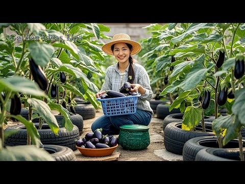 FULLTIME: Useful Tips & Tricks Urban Gardening: Balcony Gardens for City Dwellers