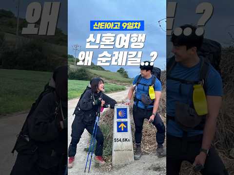 왜… 신혼여행인데 800km를 걸어요