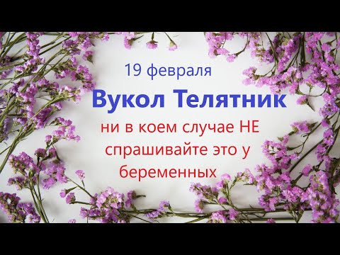 19 февраля народный праздник День ВУКОЛА. Что нельзя делать. Народные традиции и приметы