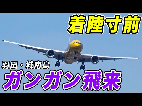 【着陸直前】羽田空港に到着する飛行機を間近で無限にみられる公園が神すぎた！！城南島海浜公園でエアポート実況！