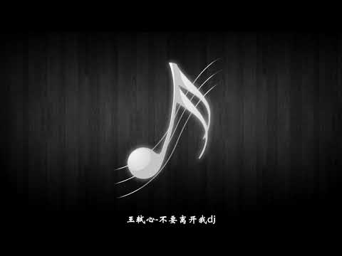 王轼心-不要离开我dj