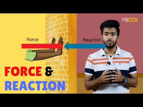 Force and reaction explained | Elements of Civil Engineering | Vrook