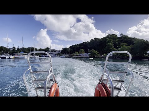 Coral reefs of St Lucia  December 2024