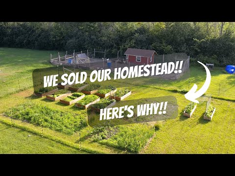 Why We SOLD Our HOMESTEAD! | Where Are We Going?