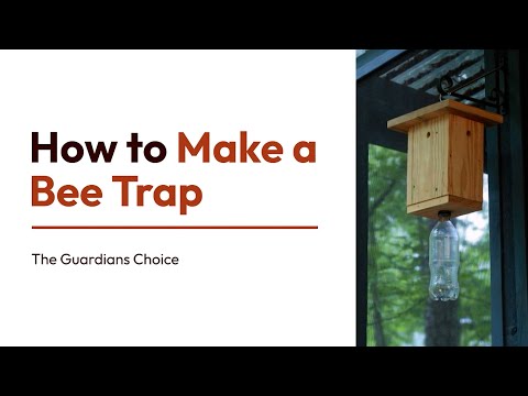 3 Ways to Make a Bee Trap | How to Make a Bee Trap | The Guardians Choice