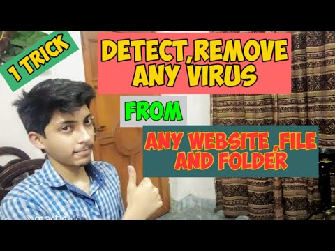 remove virus from any kind of file | remove virus from any website | detect virus from any website.