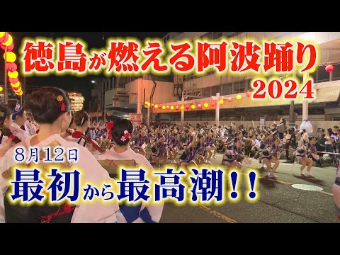 【これが撮りたかった！徳島が燃える阿波踊り2024】8月12日、悠久連・阿呆連・阿波扇・心酔・のんき連・娯茶平、寶船、酔丞、徳島市の阿波踊りが凄すぎた！