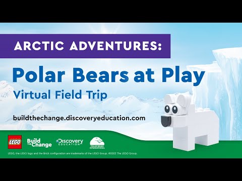 Arctic Adventures: Polar Bears at Play Virtual Field Trip (All Ages) | Tundra Connections