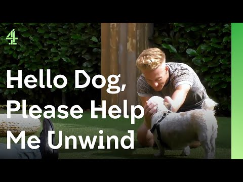 Paralympian David hopes a dog will help him with life after athletics | The Dog House 🐶 | Pebbles