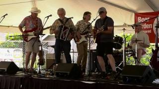 #01 Poultry In Motion at the Beer Garden, Vashon Island Strawberry Festival Sunday afternoon, 2016