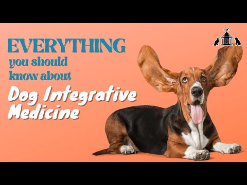 Everything You Need To Know About Dog Integrative Medicine