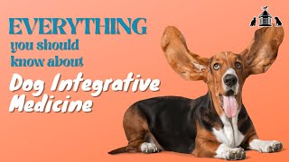 Everything You Need To Know About Dog Integrative Medicine