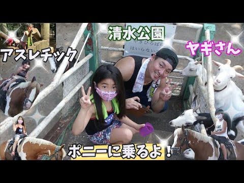 【夏休み】清水公園でポニー牧場でポニーに乗りに行こう！