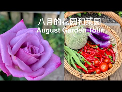 SUB）八月的花园和菜园｜又有哪些花开了｜菜园里神秘的瓜是什么瓜｜Flower & Vegetable Garden Tour