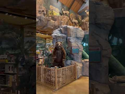 Bass Pro Colorado!!!