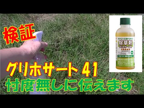 実践検証 市販品除草剤グリホサート41の効果は？葉っぱ霧吹き噴霧で根が枯れる 枯れない？実際に使ってみました 使用した噴霧器はダイソーさん 撒き方大事おすすめ最強は?散布機