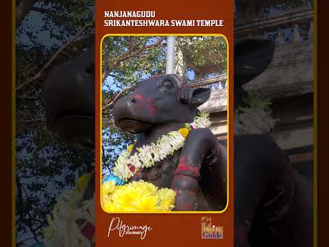 Nanjanagudu Shri Srikanteshwara Swami Temple | Shorts