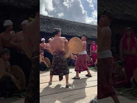 FIGHTS! Bali 2024 🇮🇩 Bali Travel Vlog #baliindonesia #bali #bali2024