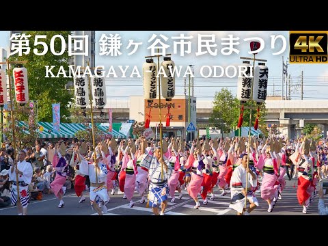 Japanese Traditional Festival ★ Awa Odori ★