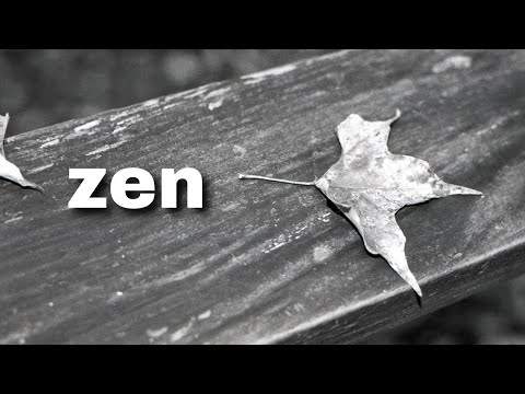 2 Minutes of Relaxing Film Photography