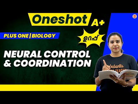 Neural Control & Coordination in Oneshot | Plus One Biology | Aswani Ma'am