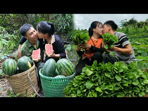 7 days Linh went to harvest agricultural products to sell | days living together as husband and wife