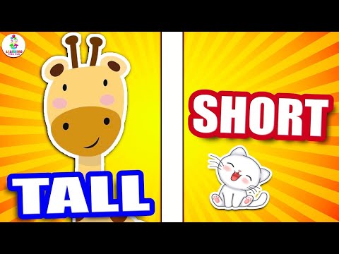 OPPOSITE Words for Young Learners! TALL and SHORT (Compare and Contrast Opposites for Children)