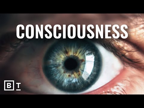 Is consciousness an illusion? 5 experts explain