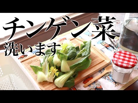 重曹を使って野菜洗い。残留農薬や汚れ除去、チンゲン菜（Bok-choy）、ASMR、生活音、健康、聖書