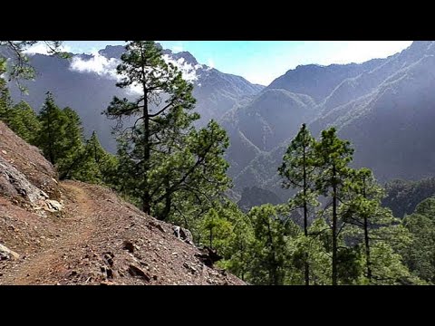 La Palma Volcano Crater Hiking - Caldera de Taburiente National Park