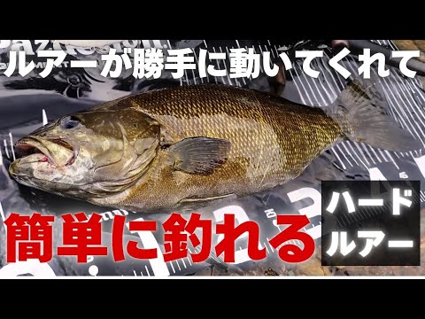 スナッチが凄すぎる！50upを含むデカバス達が狂った様に食ってくる最強ハードルアー【バス釣り】【10月】【11月】【秋】