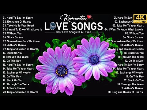 The Best Of Love Songs 70s 80s & 90s - Mellow Falling In Love Songs Collection 2024 Shyane Ward.MLTR